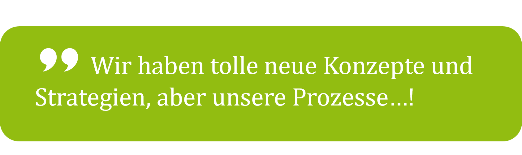Zitat Prozessoptimierung