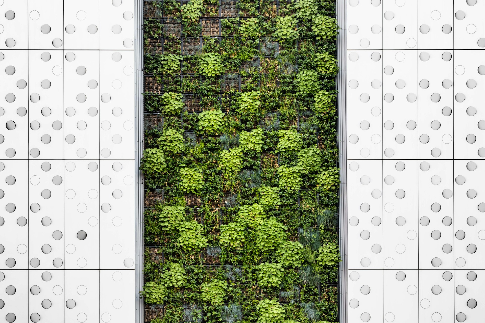 Klimaschutz- und Klimaanpassungsberatung