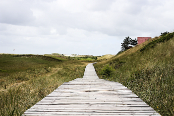 Erkenntnisse Schleswig-Holstein