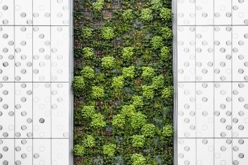 Klimaschutz- und Klimaanpassungsberatung