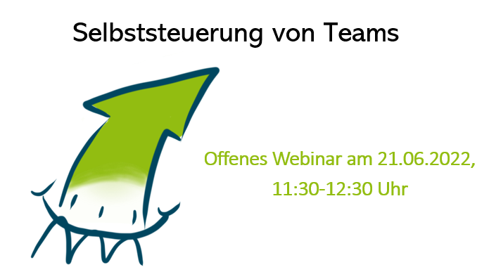 Webinar "Selbststeuerung von Teams"